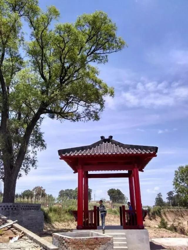 我在长武刚刚好，何必羡慕北上广