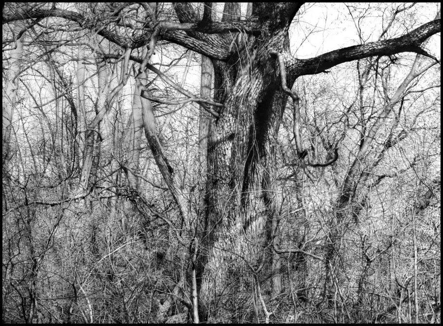 素描画画教程7-12岁素描风景画,设计素描和超写实素描