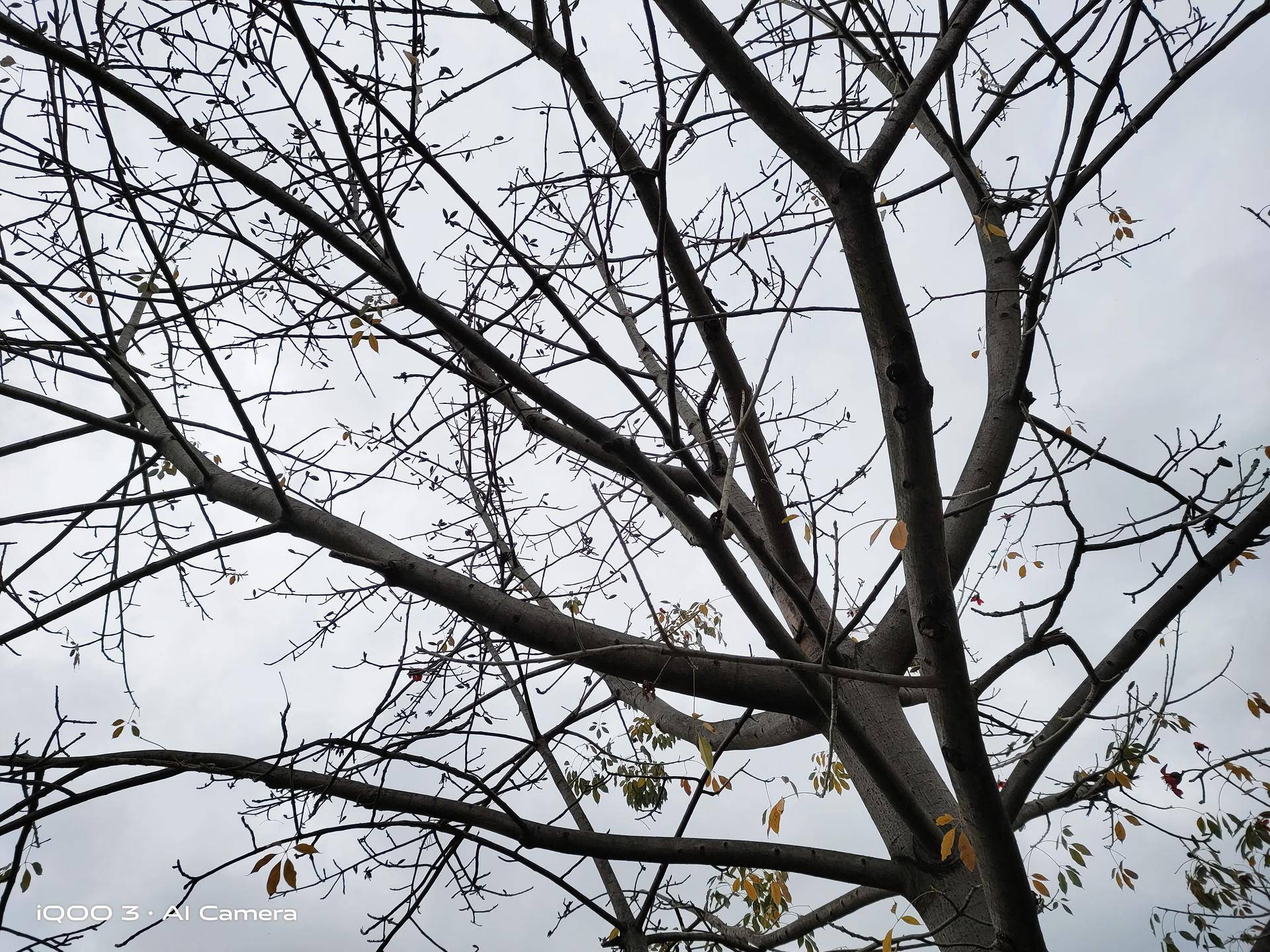 iqoo3手机有什么好性能,iqoo3手机游戏性能详细评测