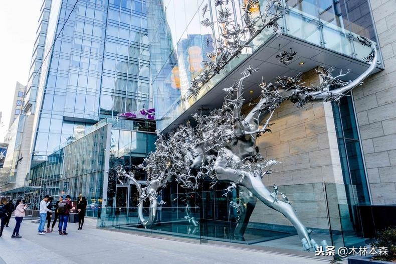 加拿大多伦多生活日记,加拿大多伦多留学生活纪实