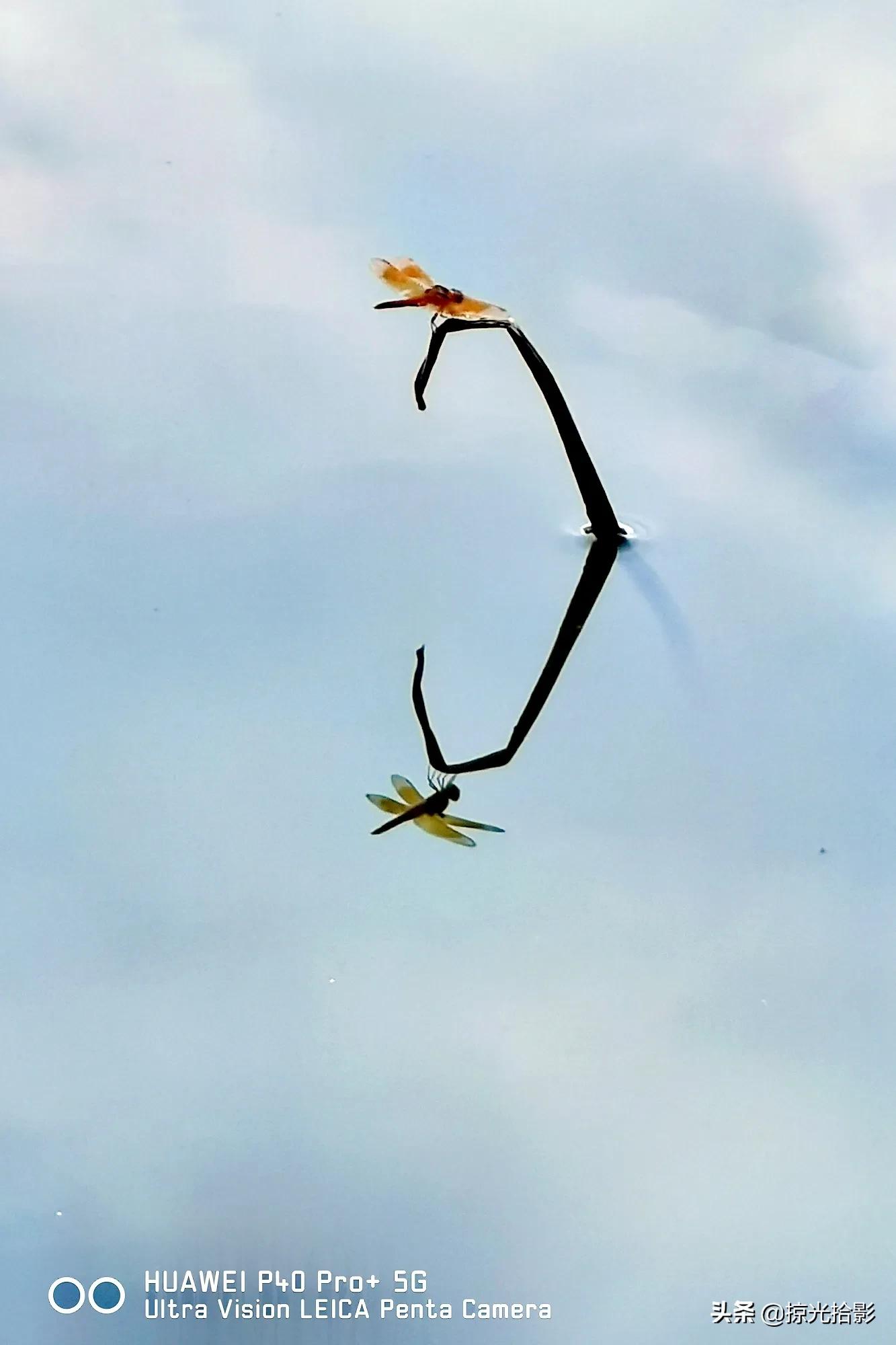 手机摄影为什么比相机酷,手机摄影与单反摄影