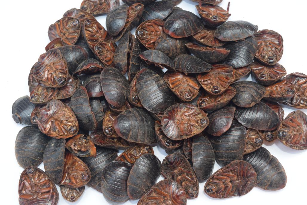 络脉瘀阻怎么治疗,疏通络脉的中成药