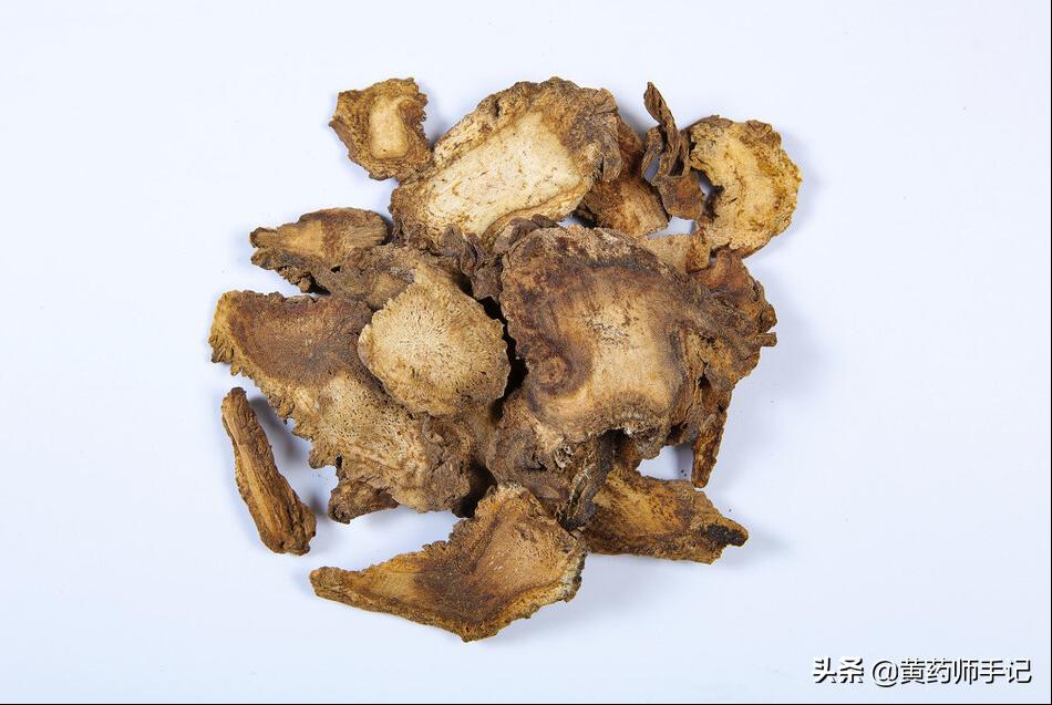 劳损腰腿痛中医秘方,独活治疗腰间盘突出的中药