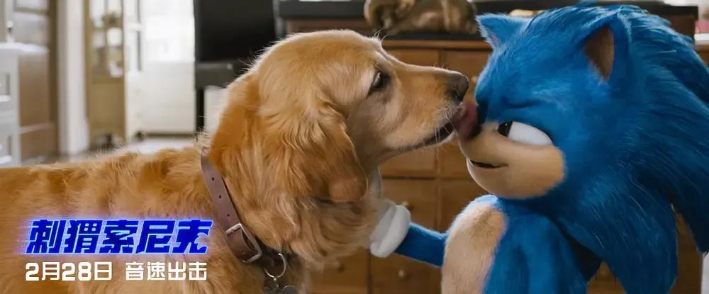 刺猬索尼克是怎么诞生的,刺猬索尼克长大的样子