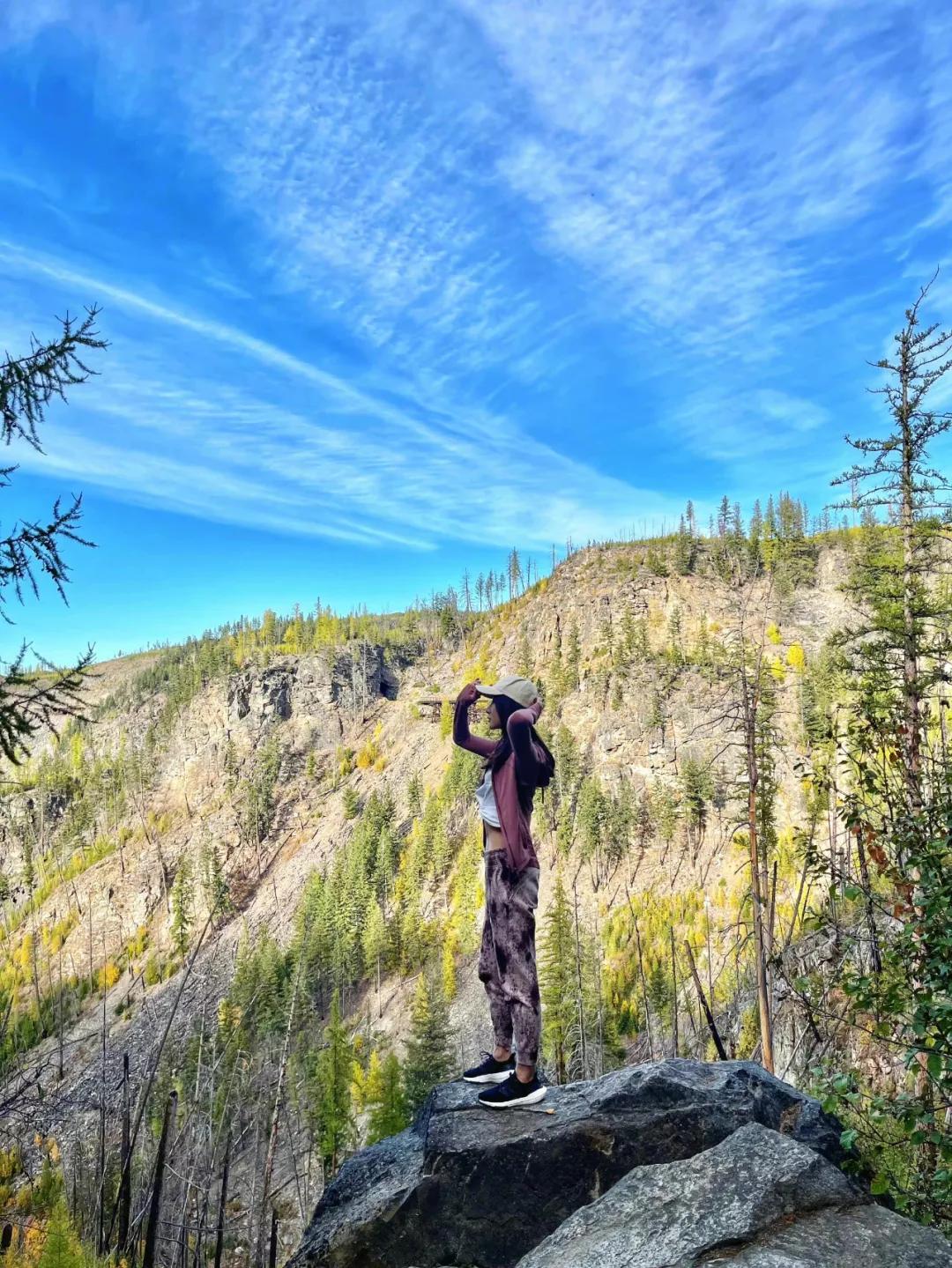 艾小羊谈杨子姗,艾小羊小说