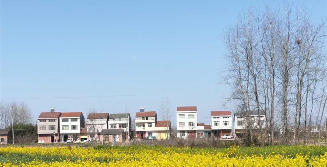 农村院子安装哪种摄像头好呢,农村户外房屋用哪种监控摄像头好