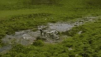 gif搞笑动图给我两块钱,把钱买完的搞笑图片