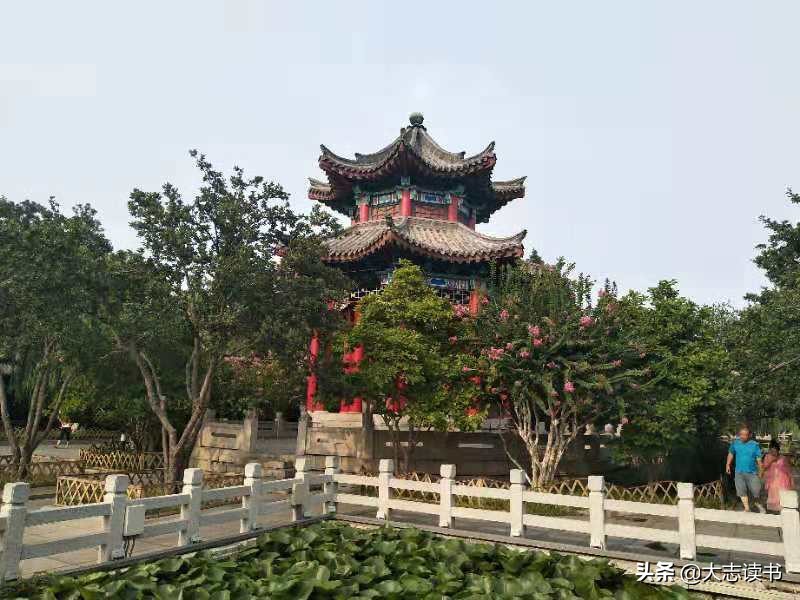 看荷最美的诗词,最具禅意的咏荷诗词