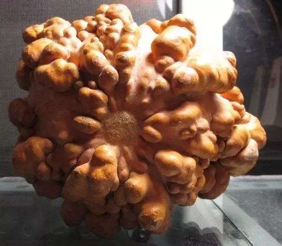 让人头皮发麻的文玩,看一眼就喜欢的文玩