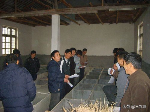 投资小适合农村的创业项目有哪些,农村小投资创业项目推荐