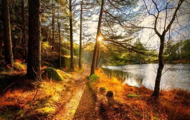 描写秋天句子作文素材,作文素材怎么写关于秋天