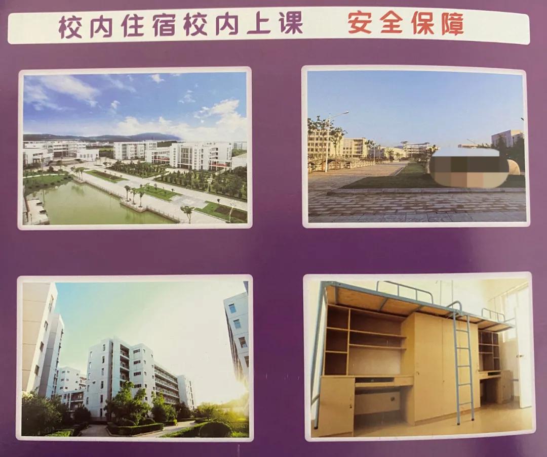 迈成专属表情包,“迈萌”喵来啦