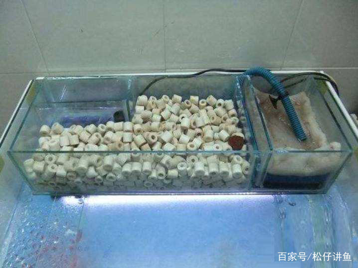 鱼缸过滤选择有哪些技巧,鱼缸底过滤什么方式最好