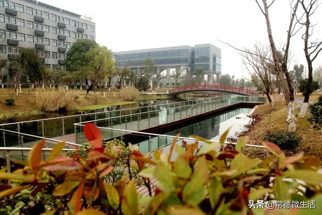 浏阳创业孵化基地在哪里申请,常德市创业孵化基地