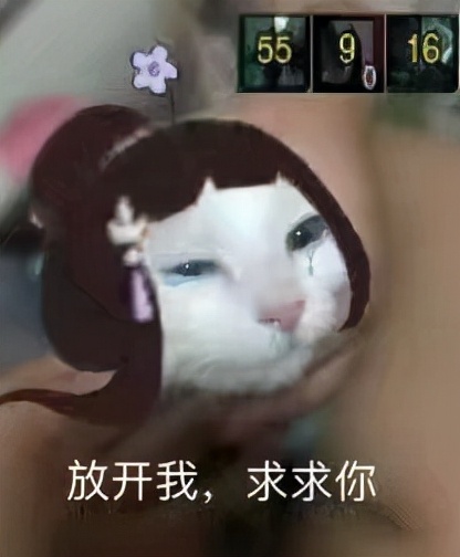 同为老五门，却势如水火！剑三奶花与天策的恩怨只有老玩家才知道