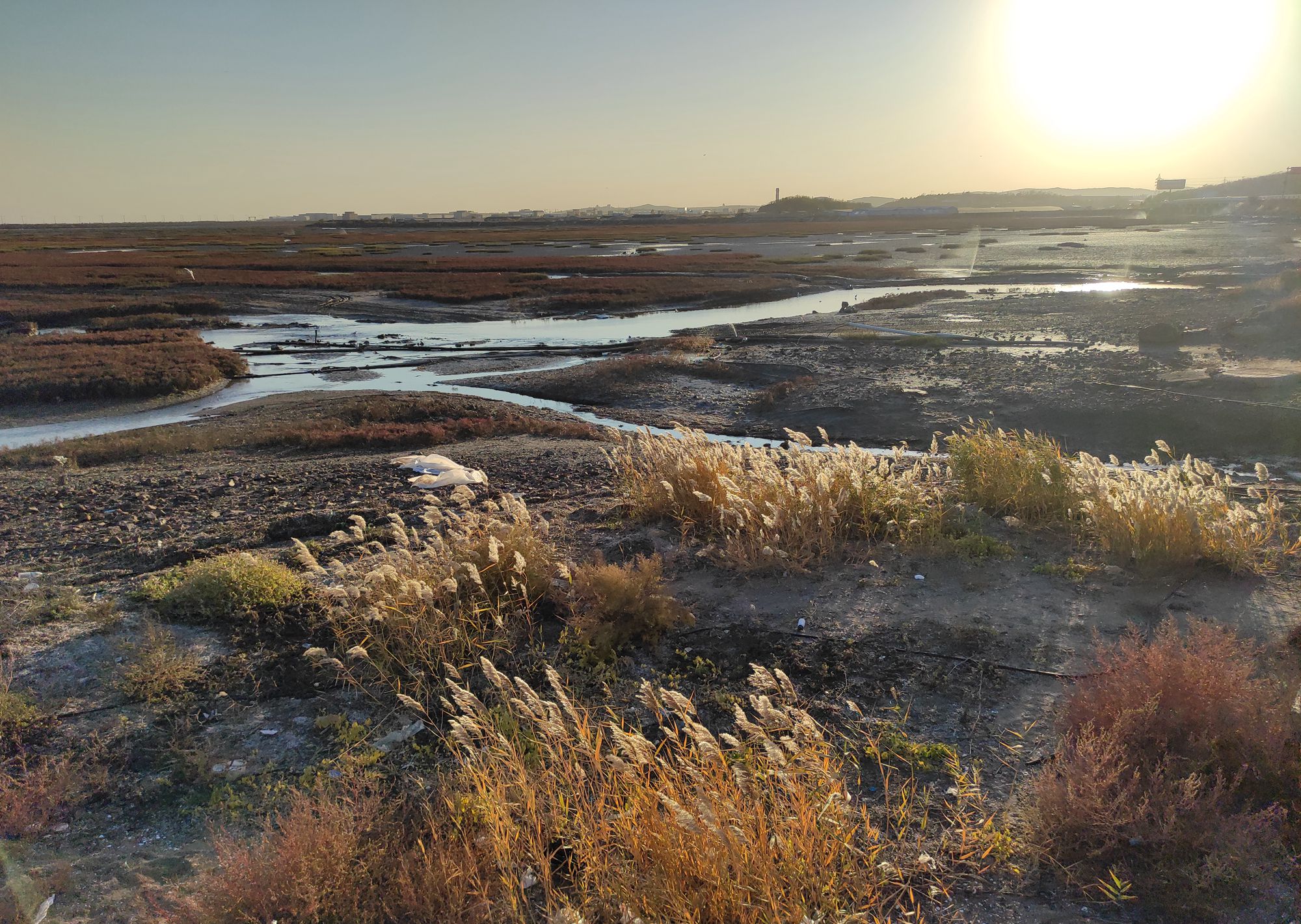 欣赏年画、邂逅大海、闲逛宜家，将生活过成诗与远方