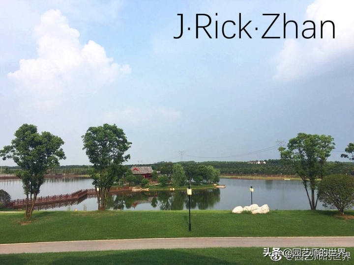 果岭草坪的种植养护方法及技巧,怎么种植一个可以躺的草坪