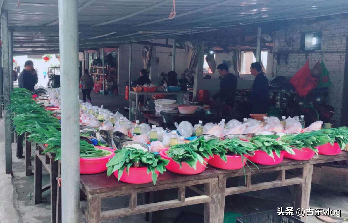 九龙生态农业园怎么样,九龙生态园