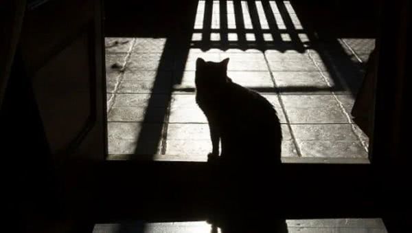 澳洲最大华人快递事件,澳洲华人快递事件