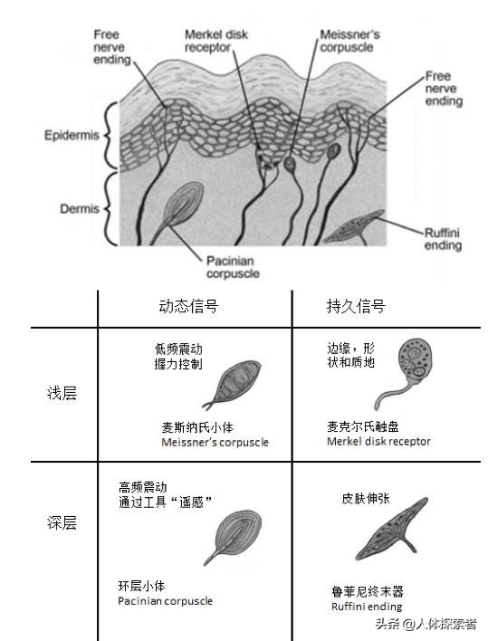 单纯的手指尖麻木是什么病兆,七种疾病早期症状