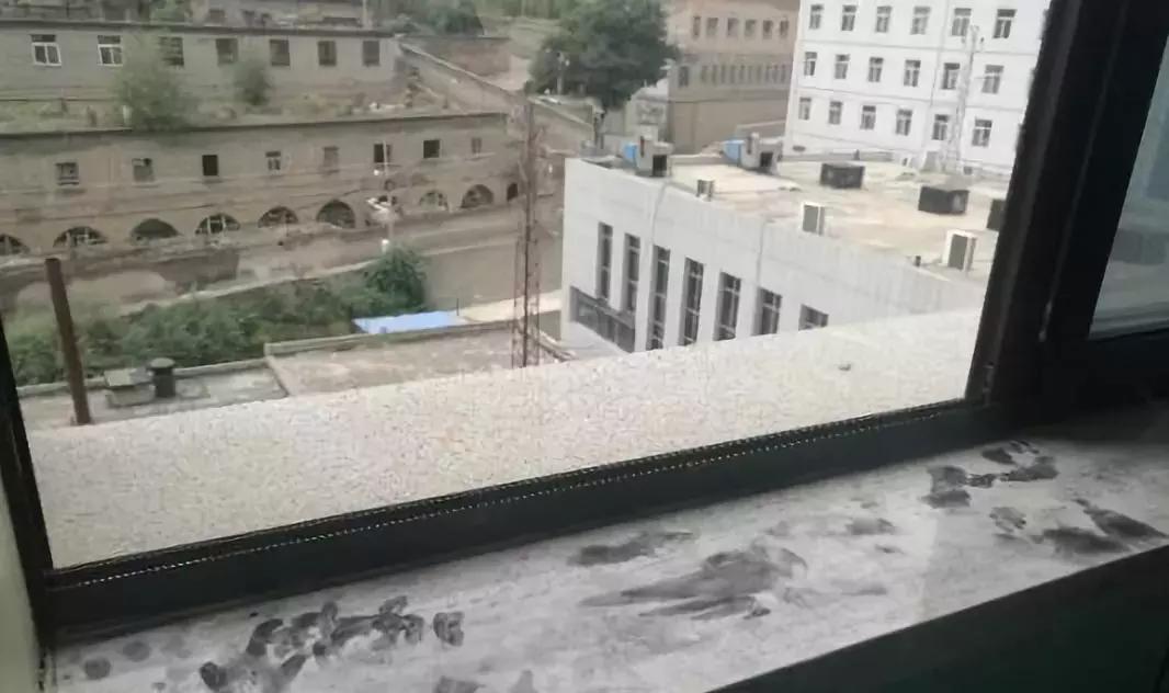 产后漏尿可自愈办法,一位母亲产后抑郁漏尿