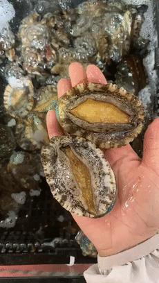 CBD里的Chloe、AmandaandKatharine，都在㳽到脑壳买农副产品