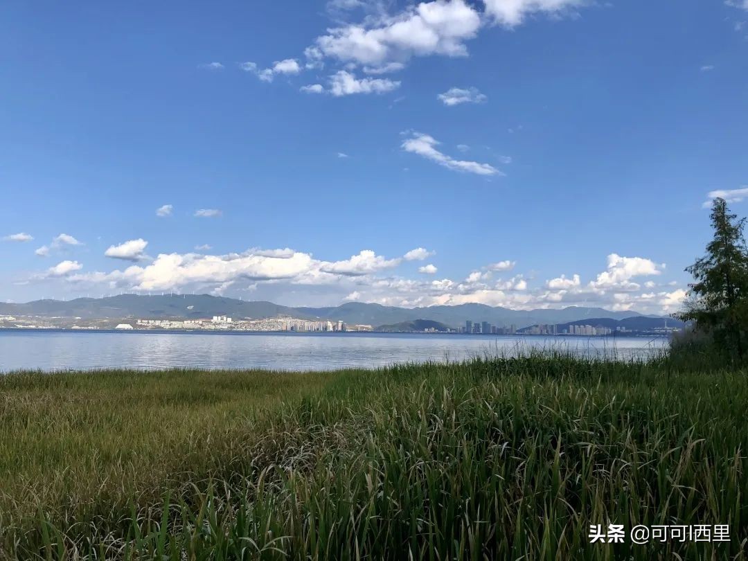 知足不常乐议论文600字,知足不知足诗词