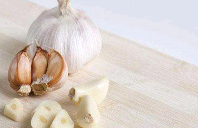 怎样防治大蒜黑头蛆,大蒜易发生什么病害