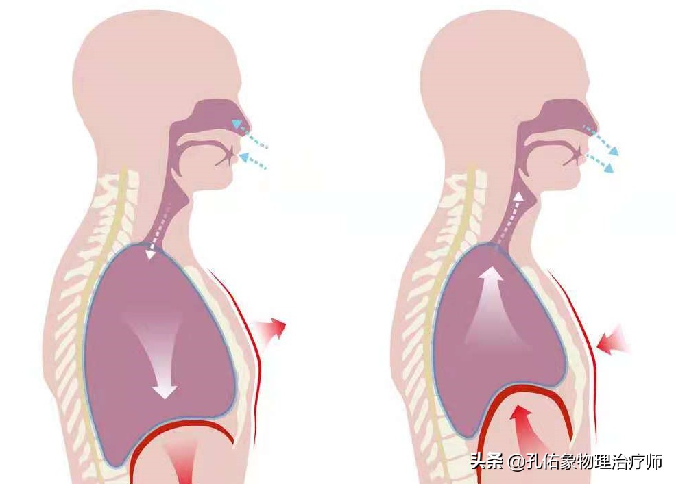 女性漏尿，究竟是怎么导致的？要如何治疗？一文给您详细解答