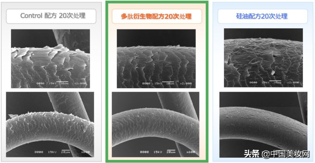 多肽蛋白洗护,多肽洗护