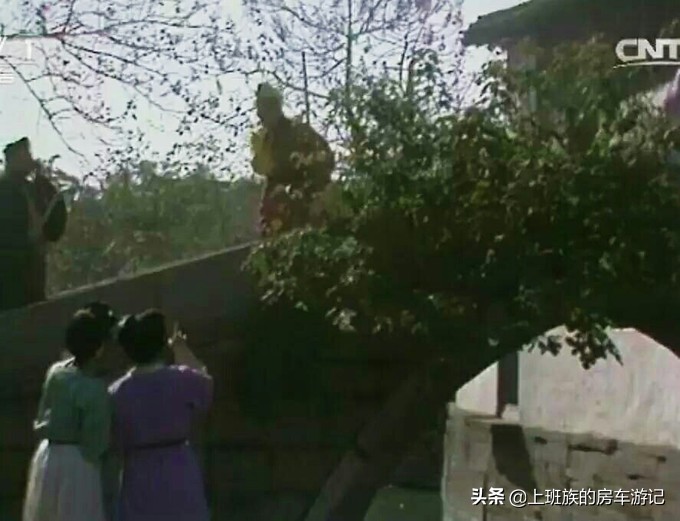 甪直古镇游玩活动,周末甪直古镇打卡