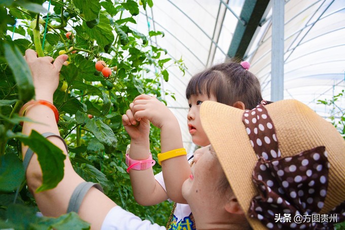 这个夏日，看这个美女如何在浙江乌村的第一百种玩法