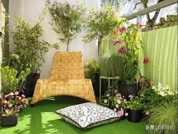 怎样在纸上种菜,纸上种菜的技术很简单