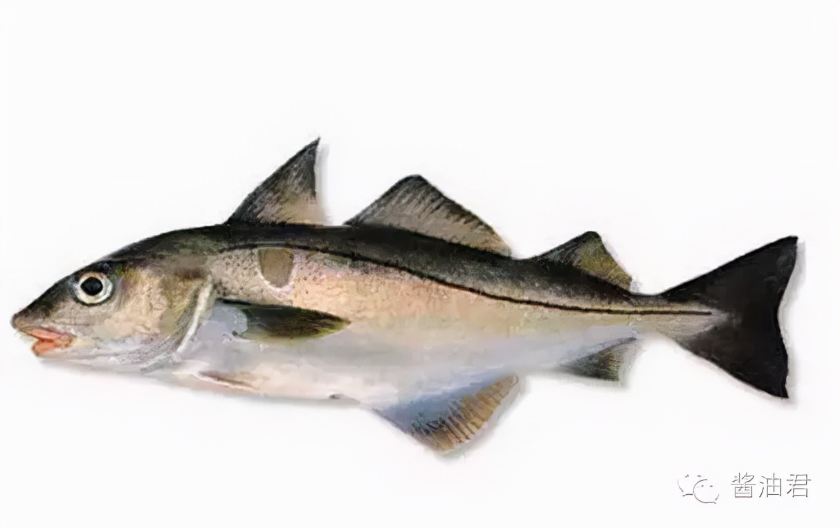 美国超市有哪些鱼,英国超市一般有什么鱼