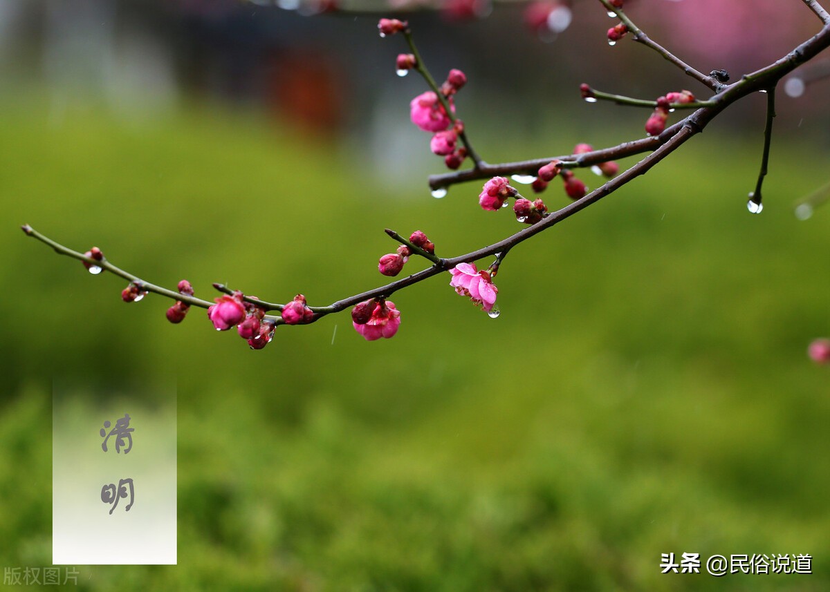 清明节女人上坟扫墓忌讳,今年清明节扫墓有什么忌讳吗