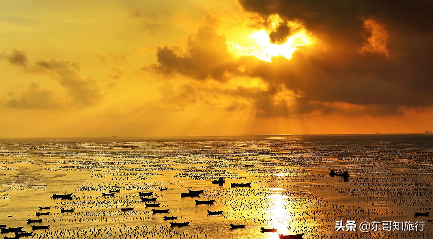 上海出发去枸杞岛旅游攻略 (从上海如何自驾去枸杞岛)