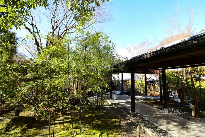 东京冬天附近游玩攻略,1月份的东京好去处