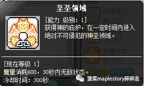 冒险岛圣骑士的复活技能,冒险岛圣骑士打boss