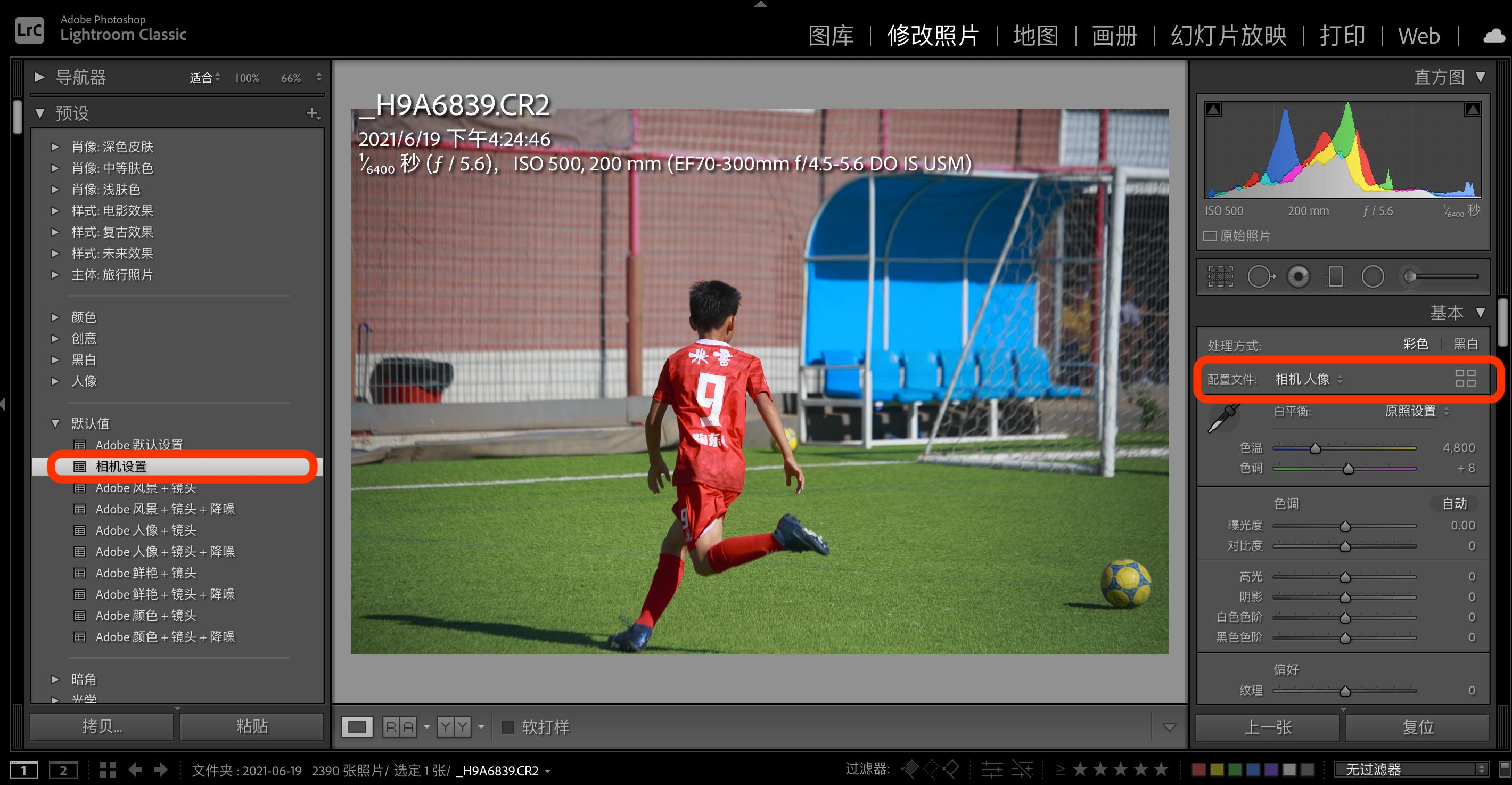 相机原片直出,这颜色真香!-摄影早自习第1675天