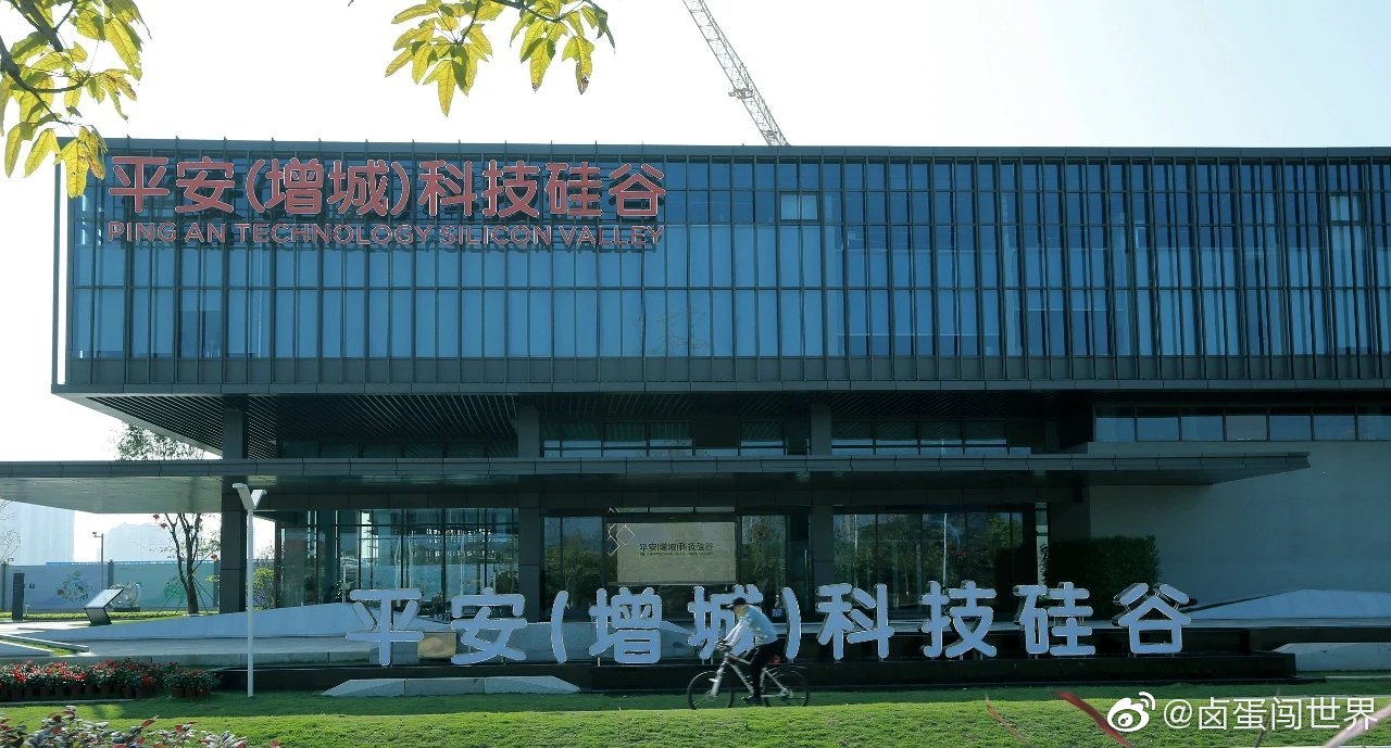 现在新塘新盘可以买吗,现在是买入机会吗