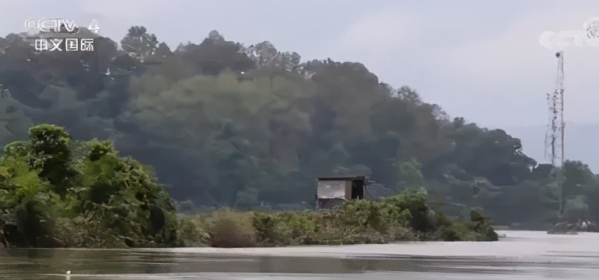 立顿为什么能做好中国茶,立顿和中国茶对比