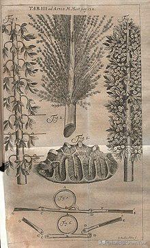 来大英博物馆看自己的展,来英国留学前你需要知道的事