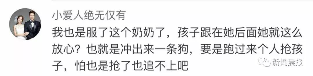 遛狗不牵绳算野狗吗,遛狗不牵狗绳咬伤别人怎么办