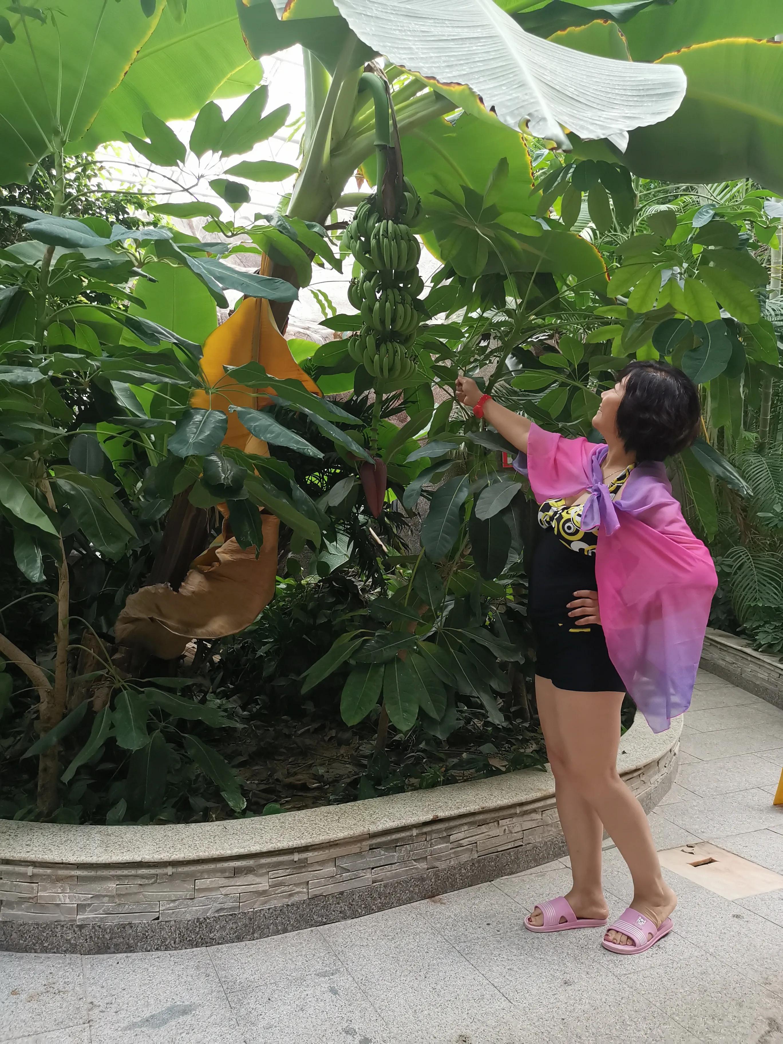 凤山温泉,北京金隅凤山温泉特色