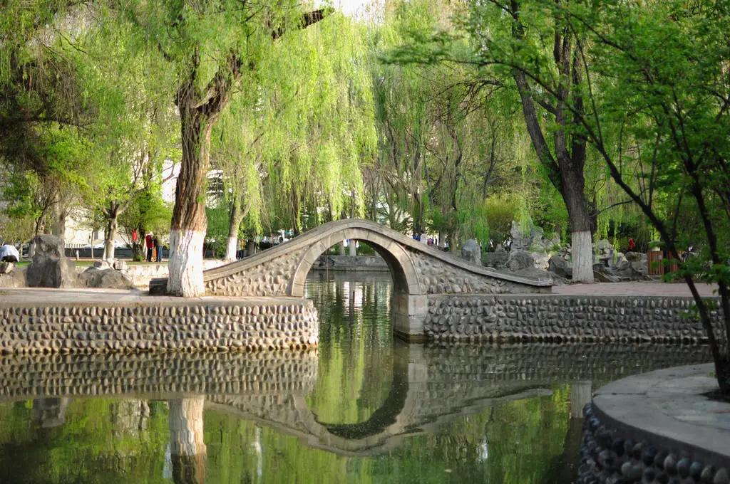 能耐水淹的园林树种,栽柳树用什么树种好