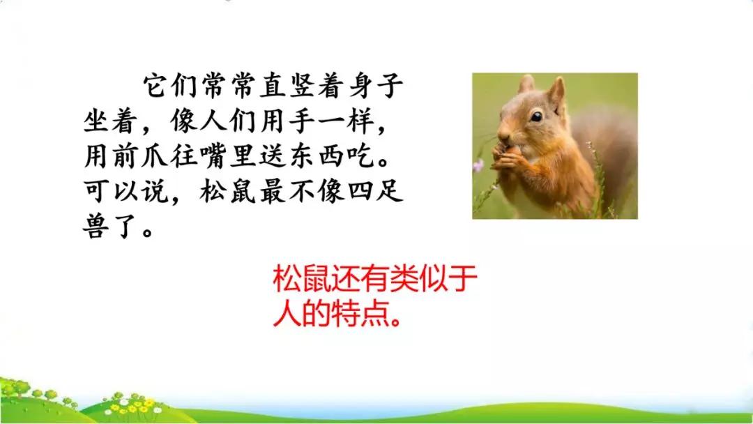 五年级语文第17课松鼠讲解,五年级上册第17课松鼠教材详解