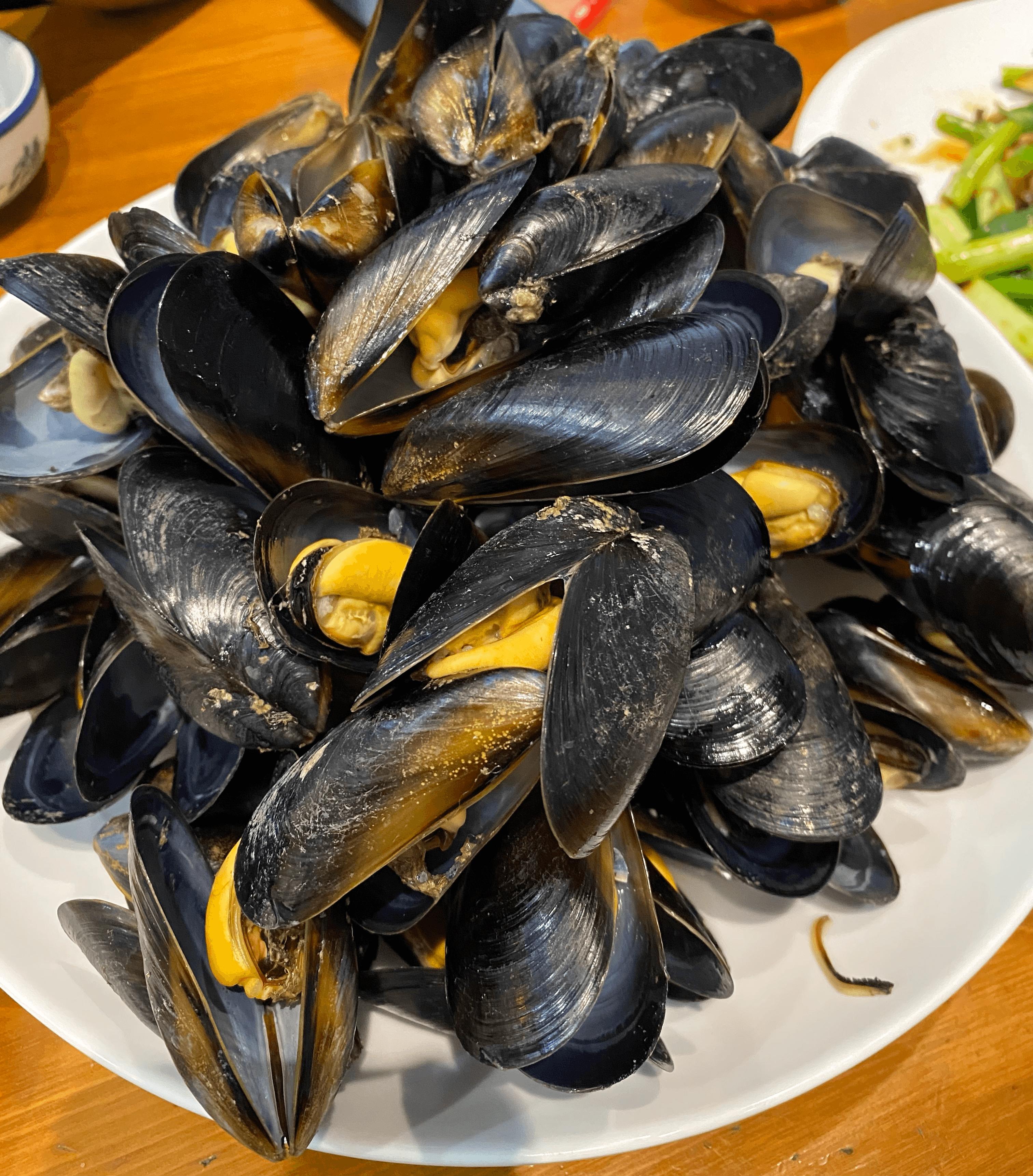 长海县环岛骑行,大连长海县骑行