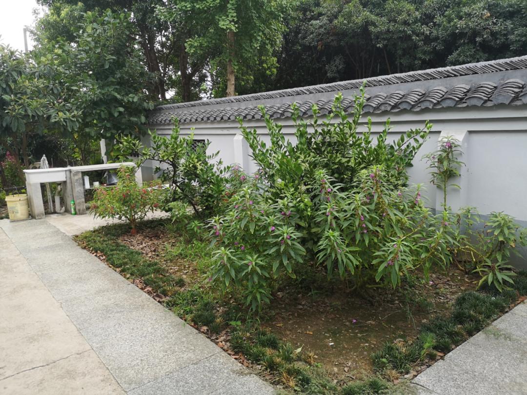 江阴人少景美,江阴有哪些人文景观