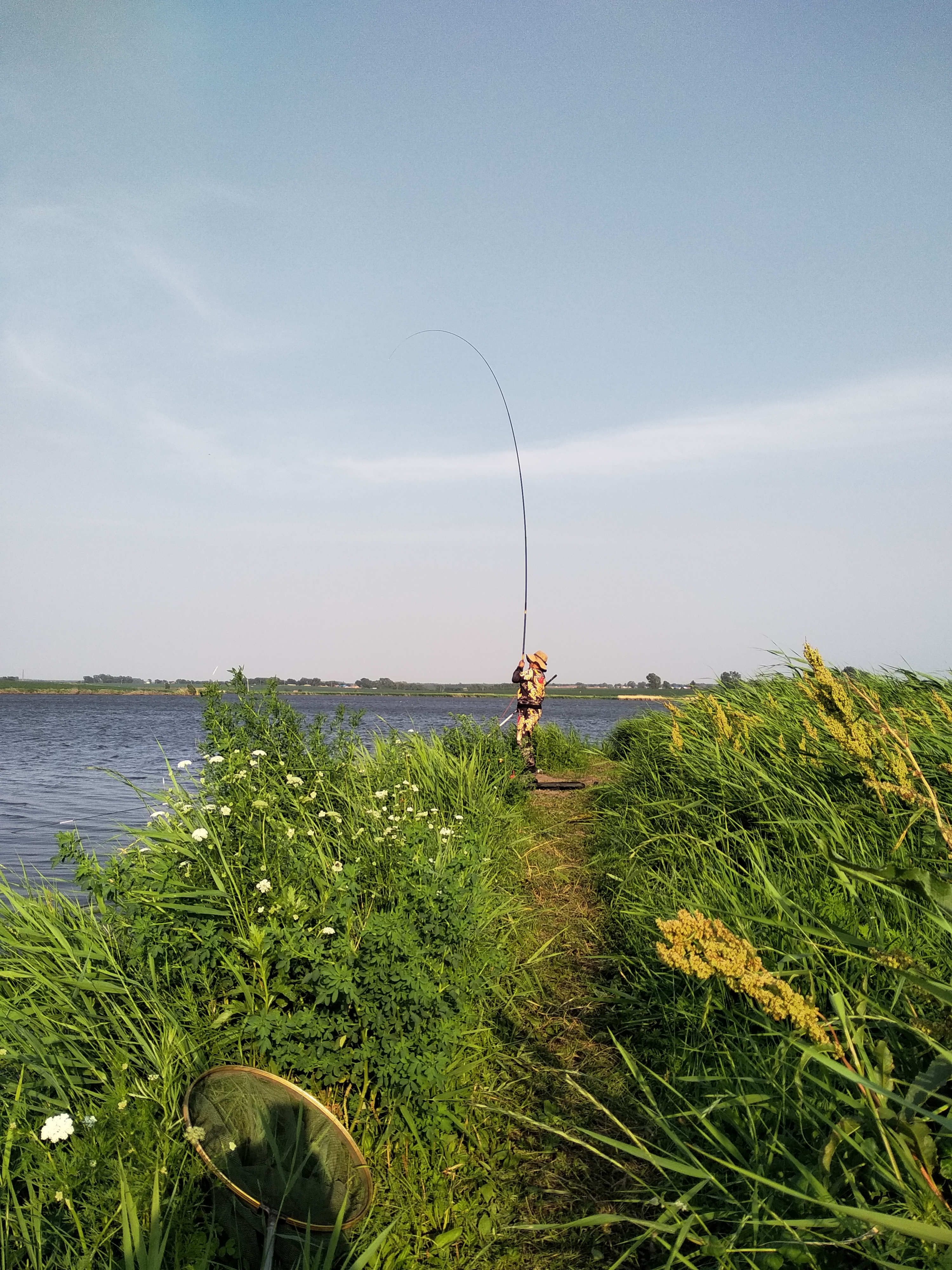 清明节期间可以用芦苇叶钓草鱼,用芦苇叶钓草鱼只咬叶子不咬钩