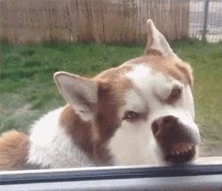 你是如何发现自己意外怀孕的,你是怎么发现自己怀孕的知乎